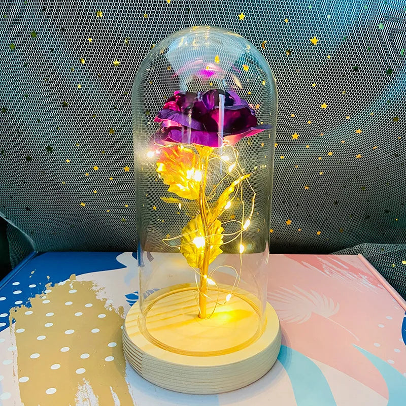 Eternal Rose LED Gift