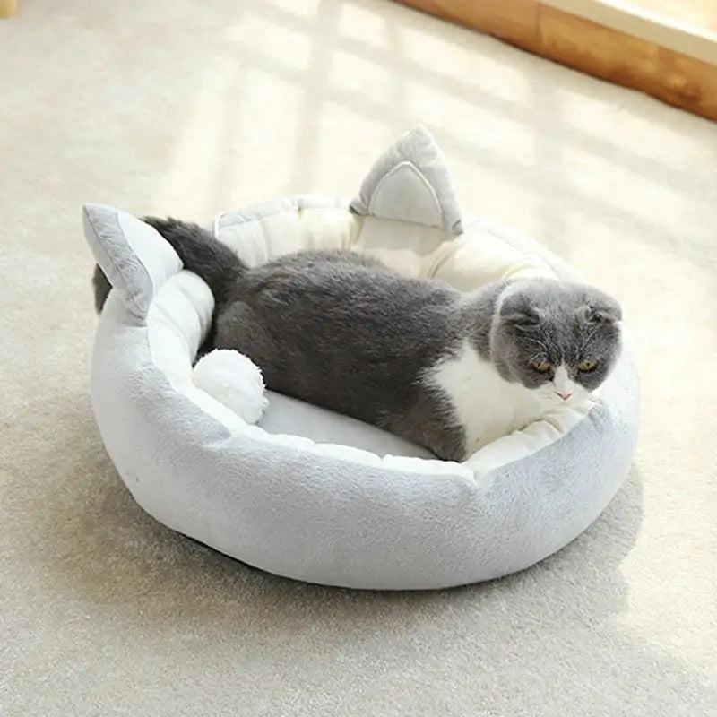 Bed  for cat & dog crate foam