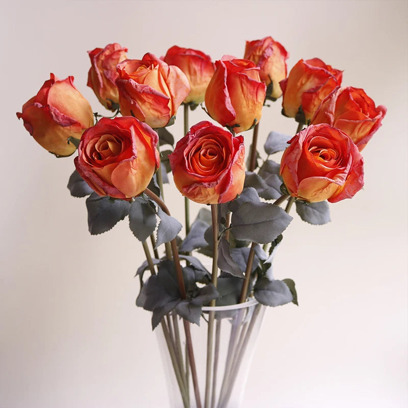 Burnt Edge Rose Buds