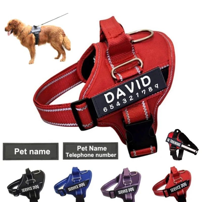 Personalized Reflective No-Pull Harness          Ask ChatGPT