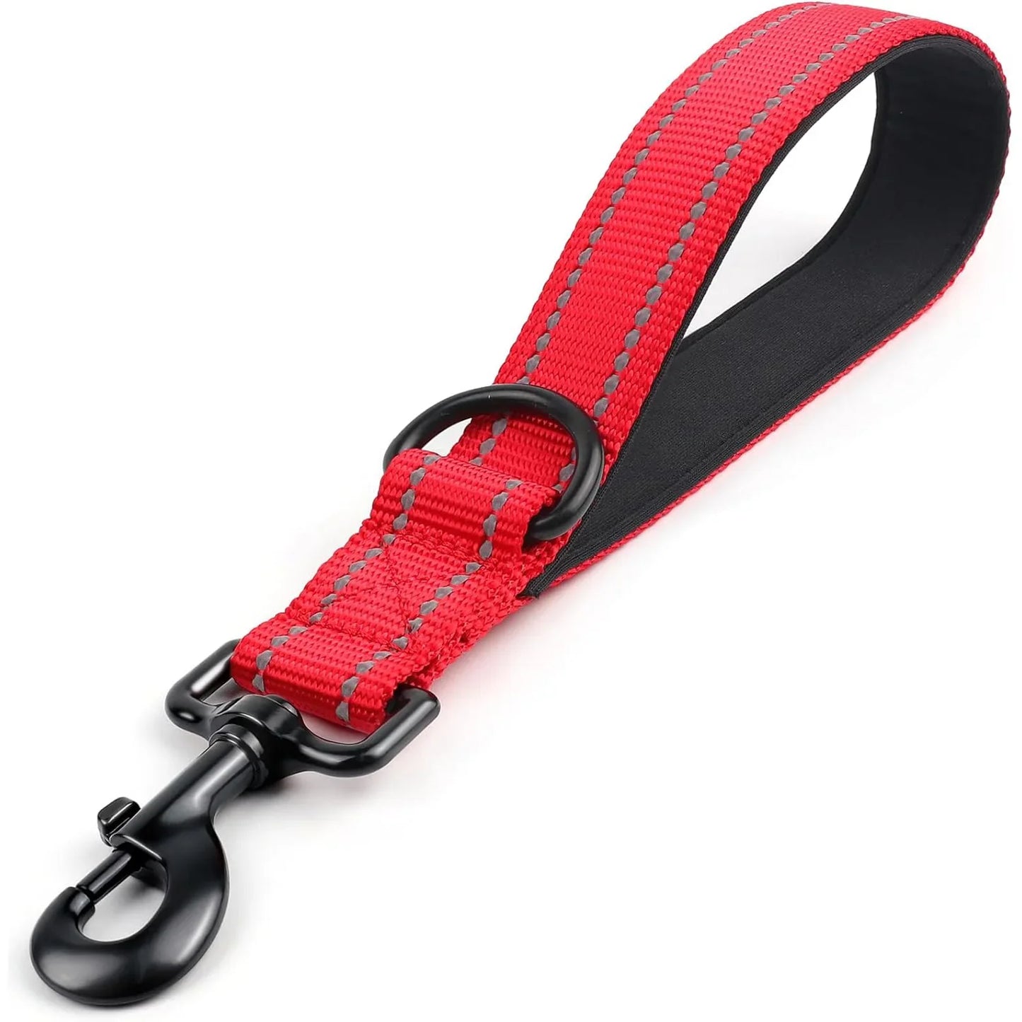 Taglory Heavy Duty Dog Leash