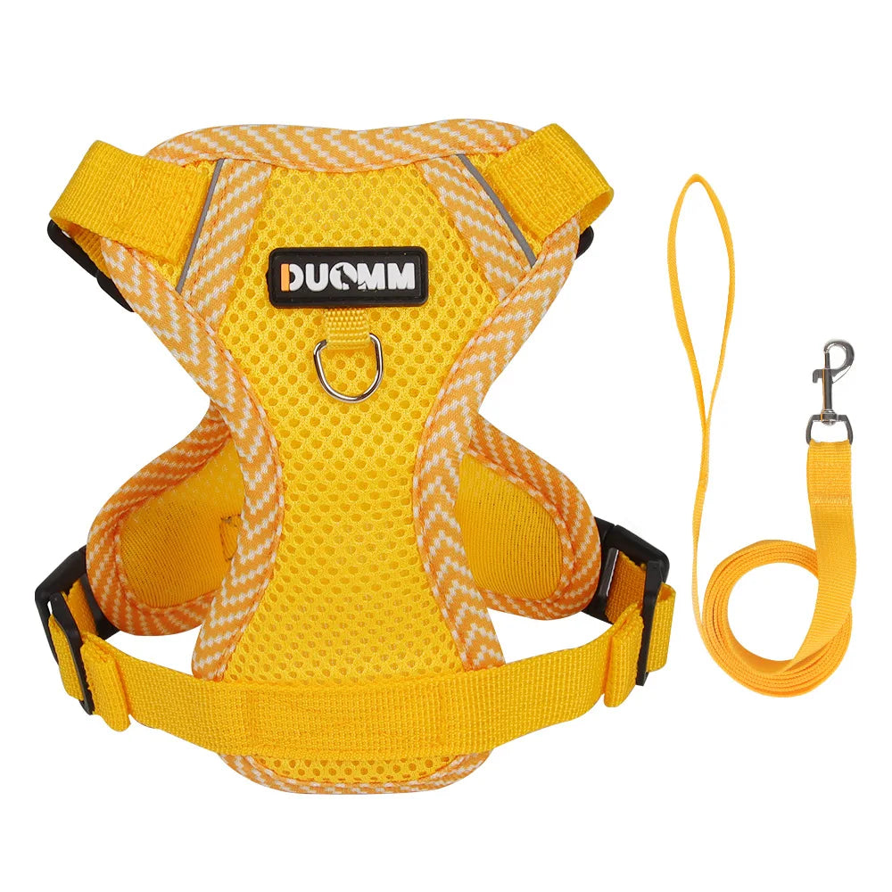 Reflective Mesh Cat Harness Set
