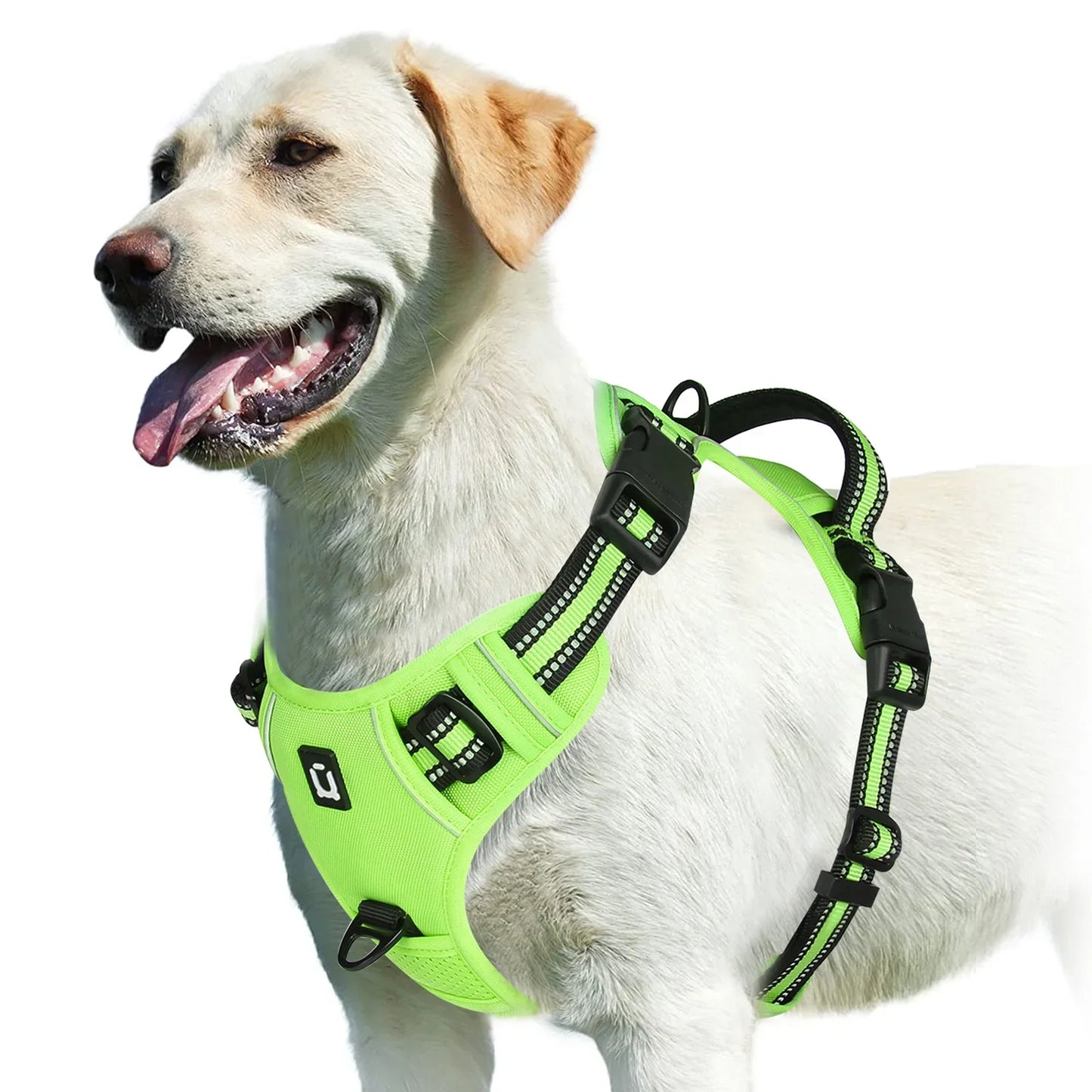 Soft No-Pull Dog Harness