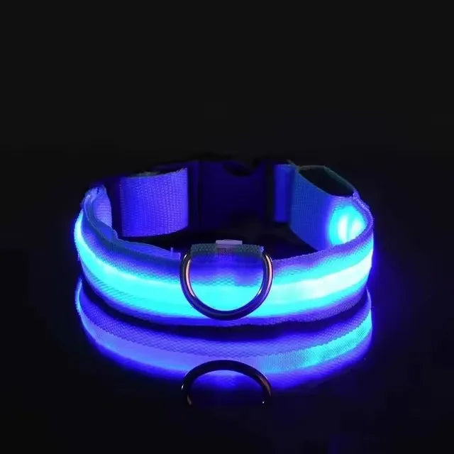 BOOTEELY LED Glow Dog Leash
