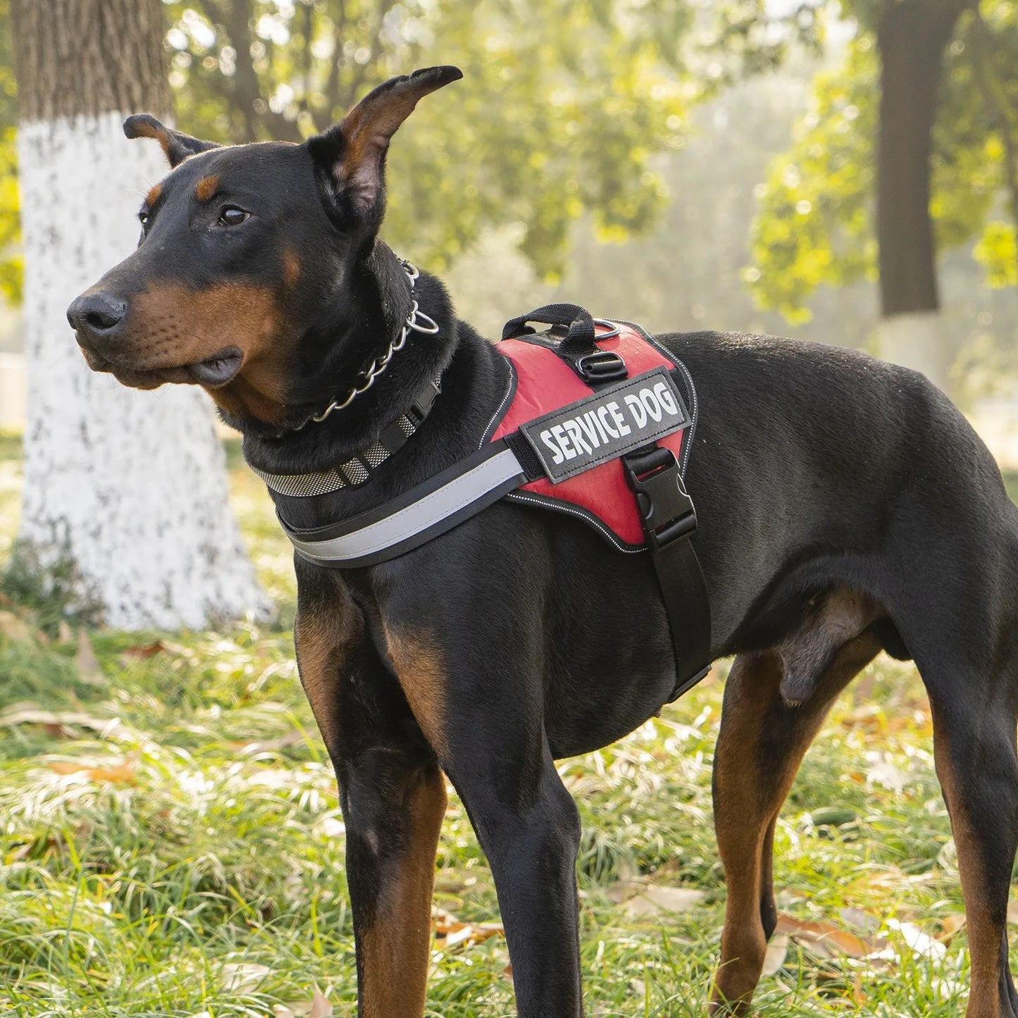 Explosion-Proof Dog Vest Harness