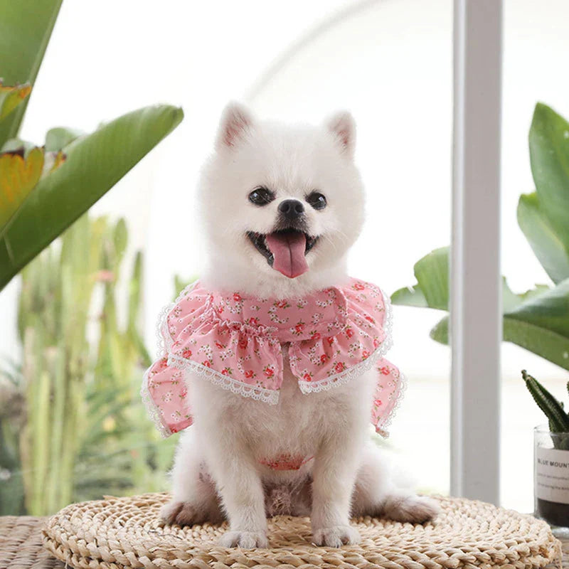 KAJIPET Lace Floral Pet Harness Set