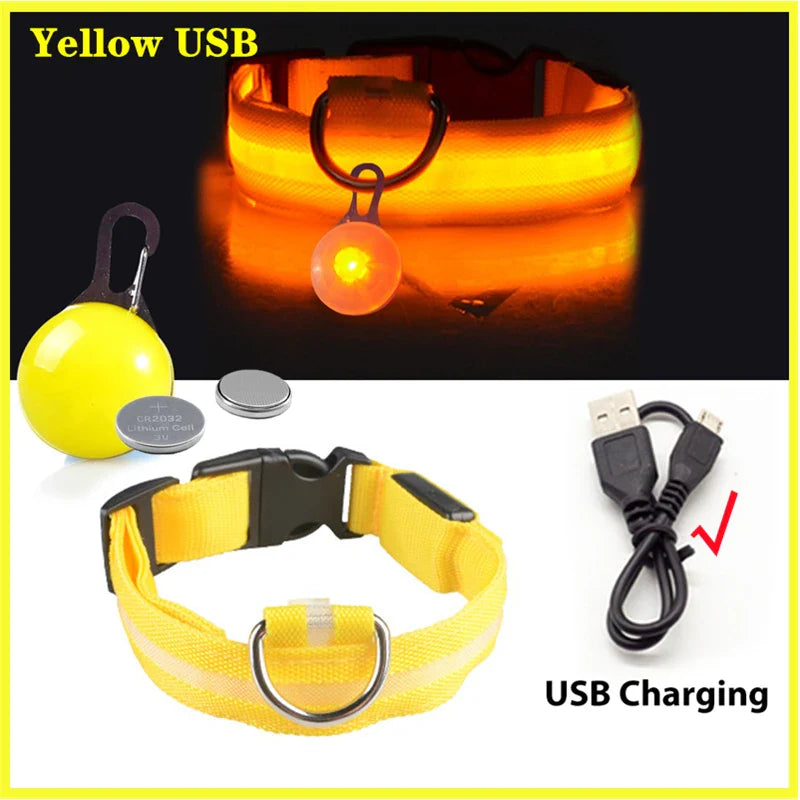 COOYOMOO USB Charging Glowing Dog Collar