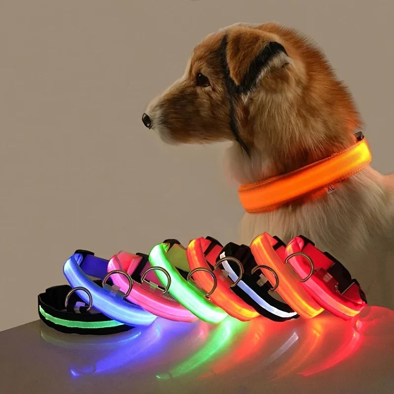 LED Glow Nylon Dog Leash