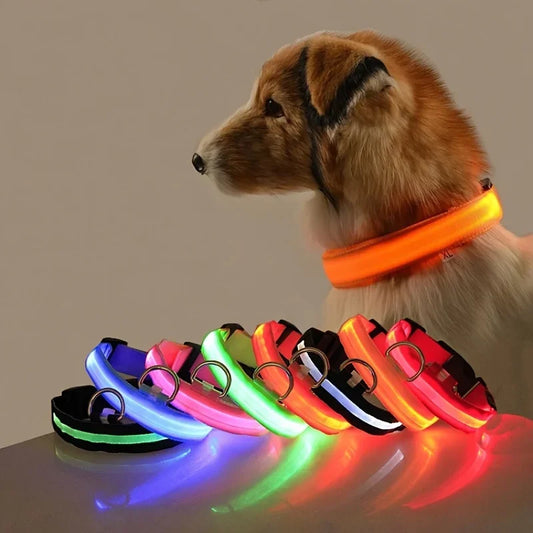LED Glow Nylon Dog Leash