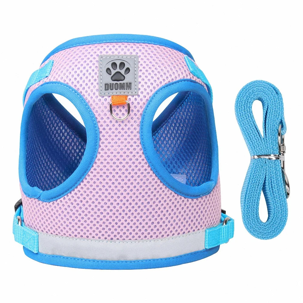 Summer Mesh Pet Harness Set