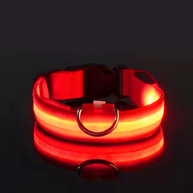 BOOTEELY LED Glow Dog Leash