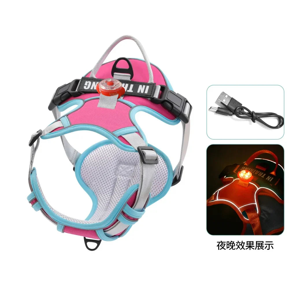 USB Light Dog Harness