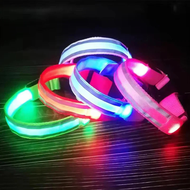 BOOTEELY LED Glow Dog Leash