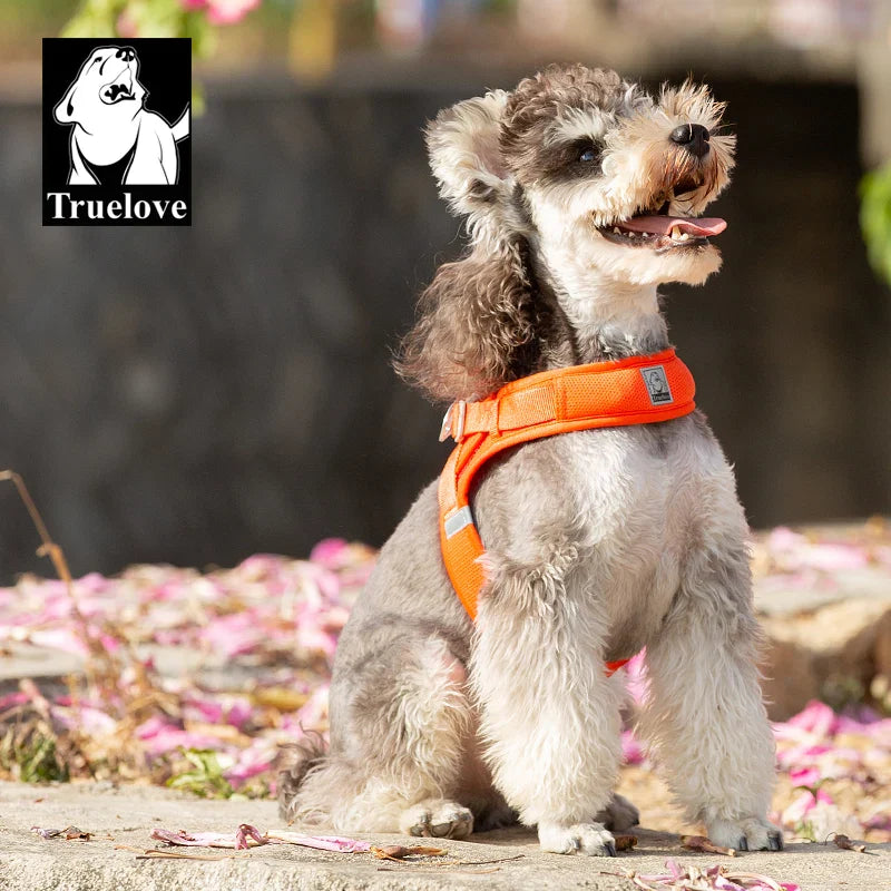 Truelove Breathable Dog Harness