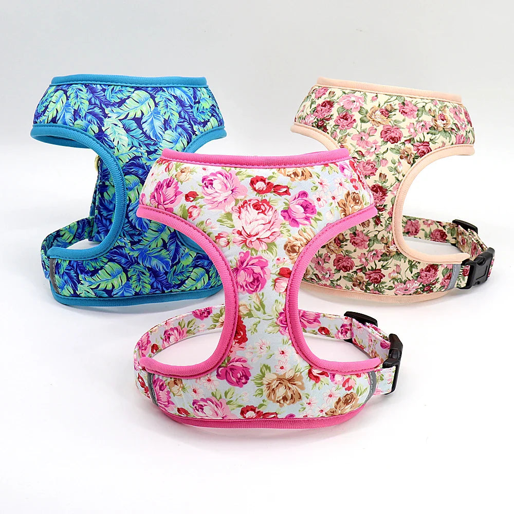 Cute Printed Pet Harness Set