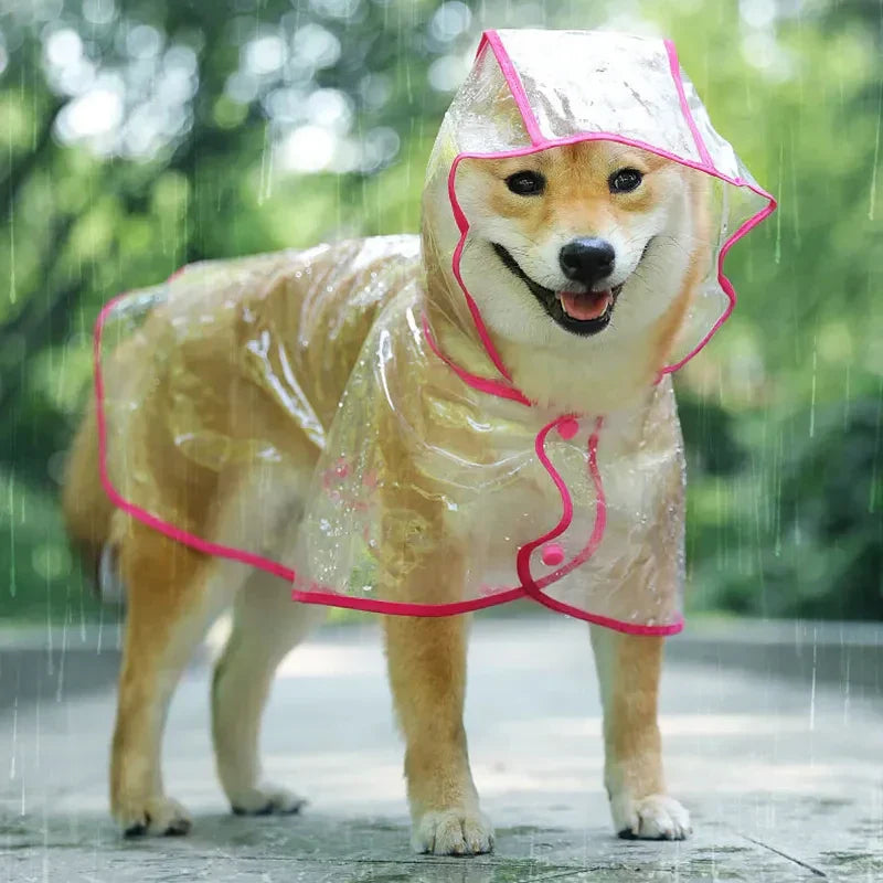 Transparent Waterproof Dog Raincoat