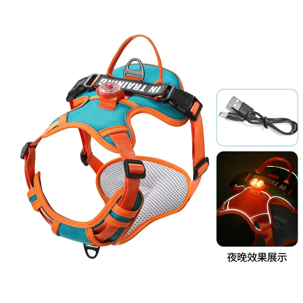 USB Light Dog Harness