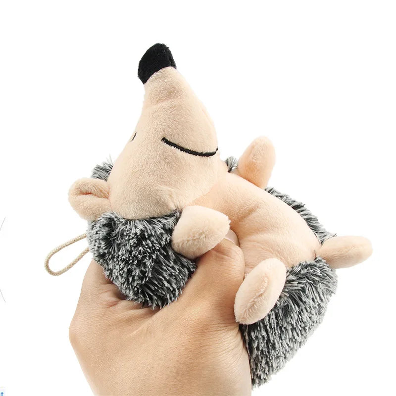 Plush Hedgehog Dog Toy