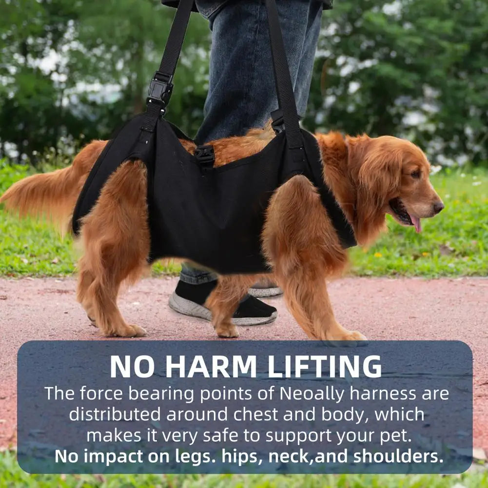 Senior Dog Support Harness
