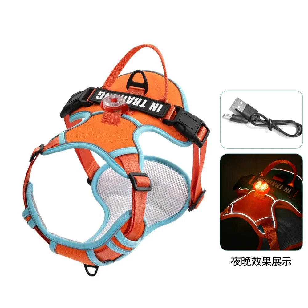USB Light Dog Harness