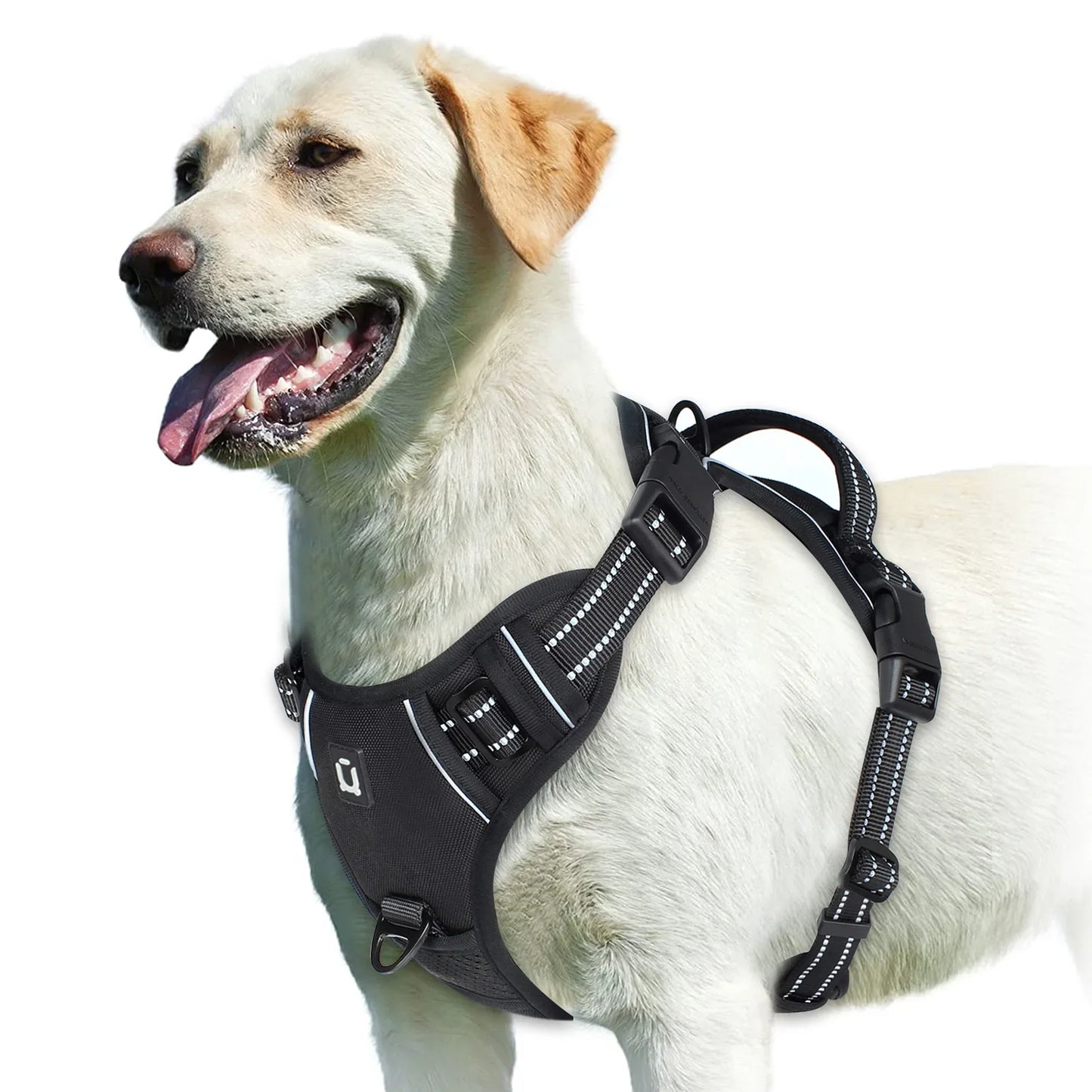 Soft No-Pull Dog Harness