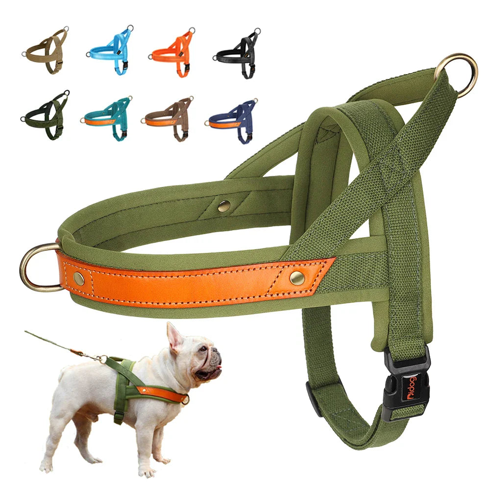 Soft Padded No-Pull Harness