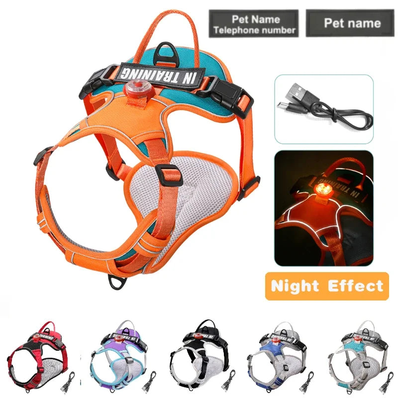USB Light Dog Harness