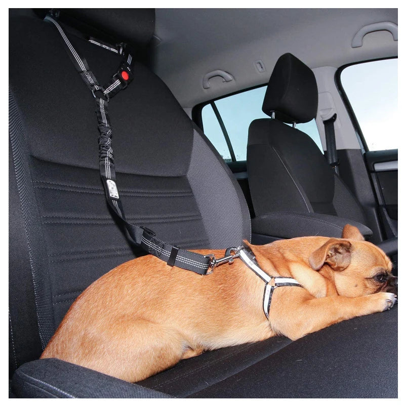 2-in-1 Dog Car Harness
