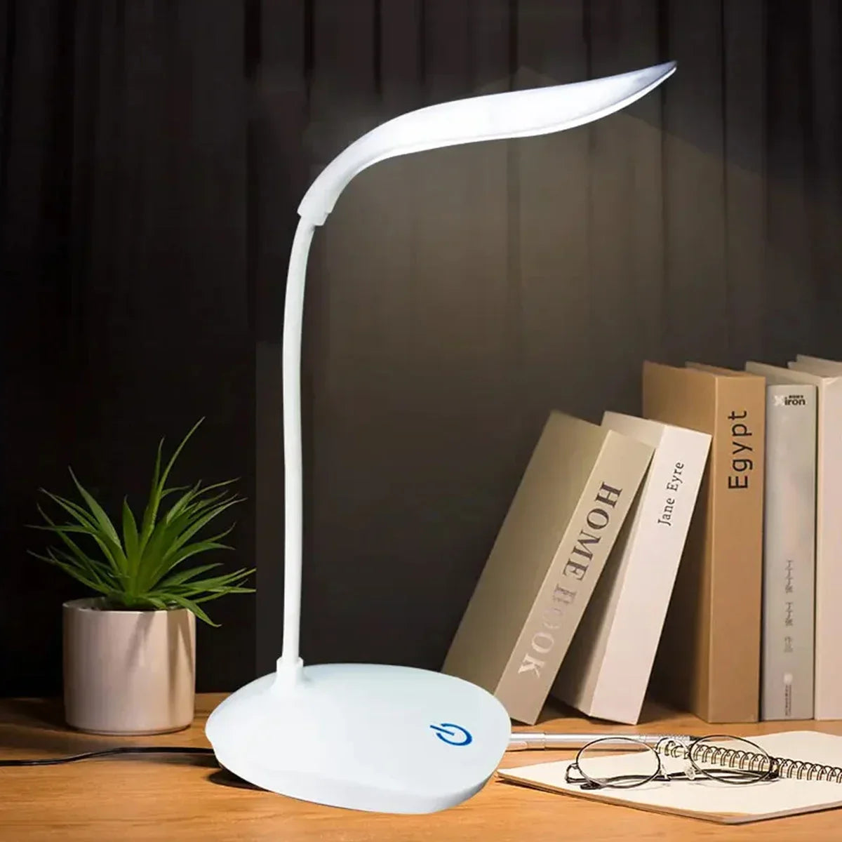 LED Rechargeable Reading Desk Lamp
