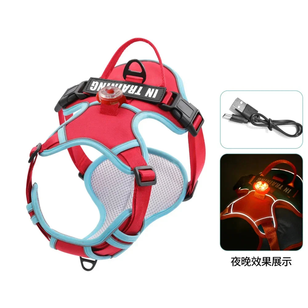 USB Light Dog Harness