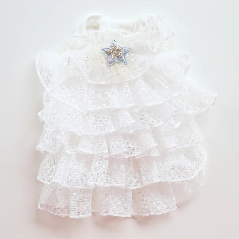 Cat Spring/summer Dress