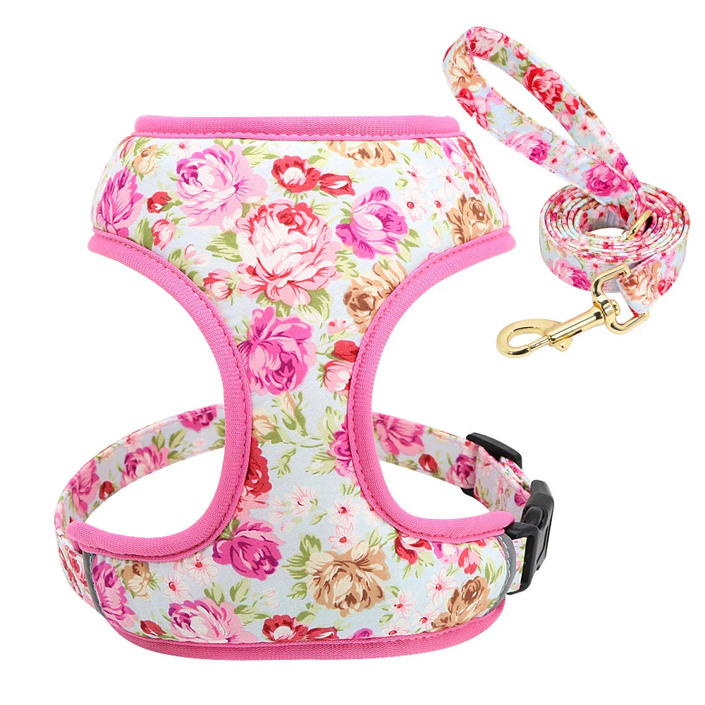 Cute Printed Pet Harness Set