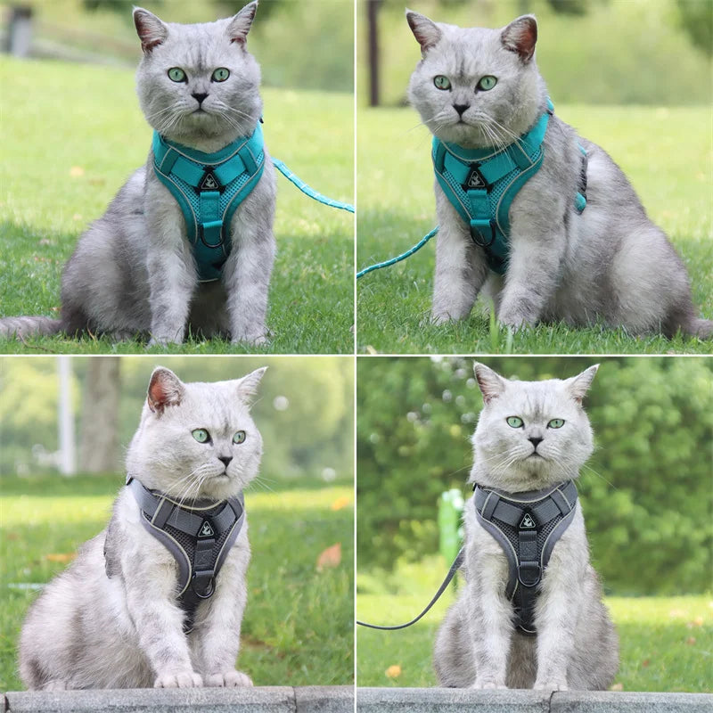 Reflective Mesh Cat Harness Set