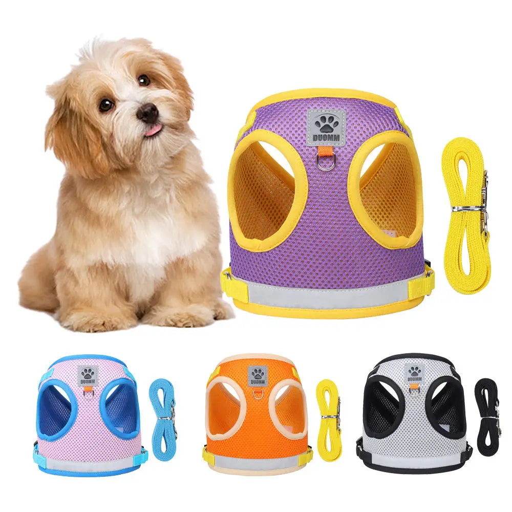 No-Pull Soft Dog Harness Set