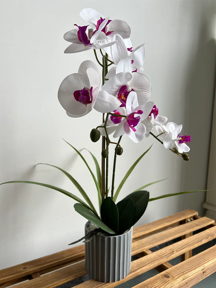 Flower Elegant Faux Orchid Bonsai