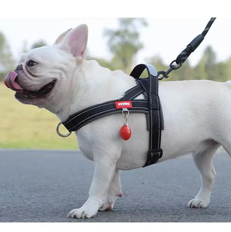Fashion Saddle Dog Harness