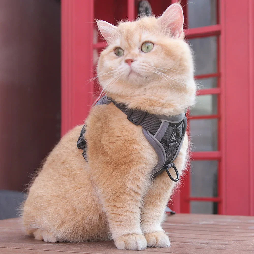 Escape-Proof Reflective Cat Harness