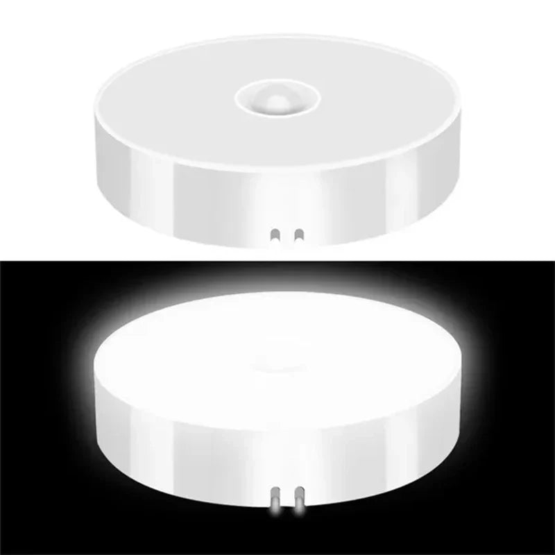 Pzsunly Wireless Motion Sensor LED Light