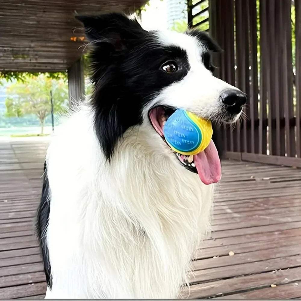 Durable Dog Chew Ball Toy