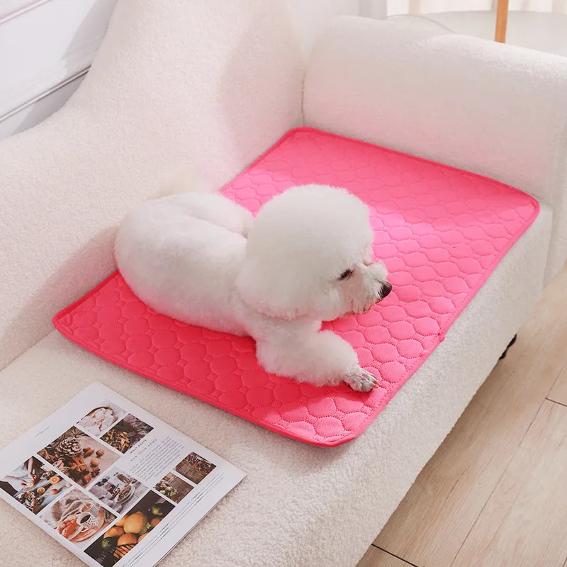 Reusable Absorbent Dog Pee Pad