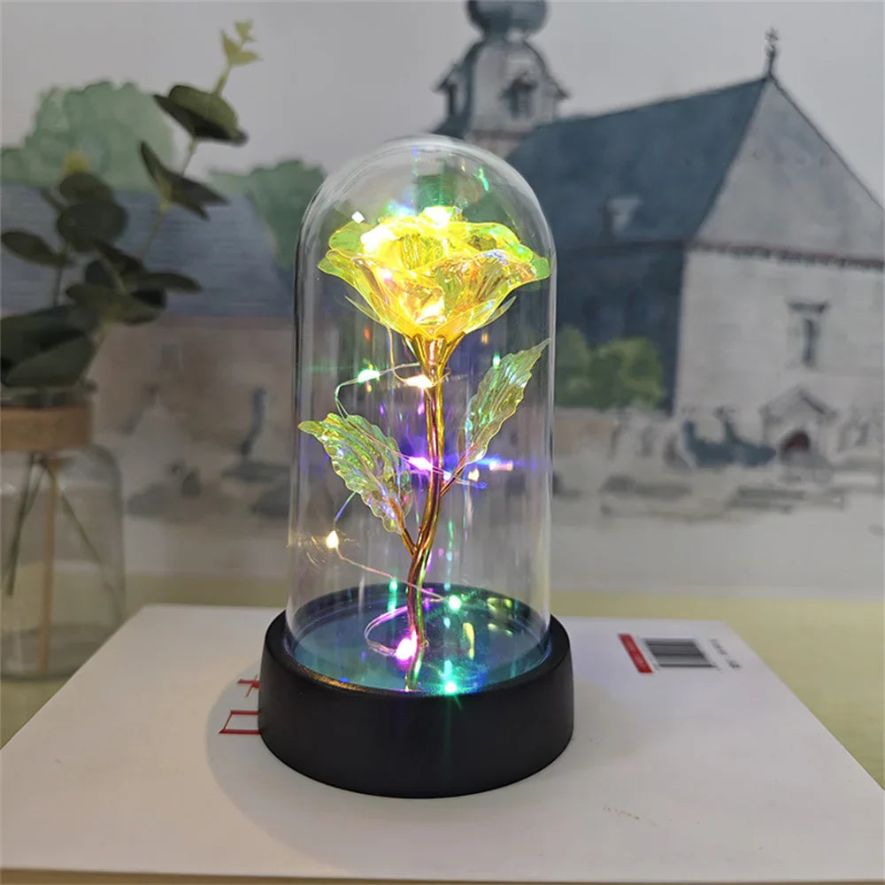 Eternal Rose LED Gift