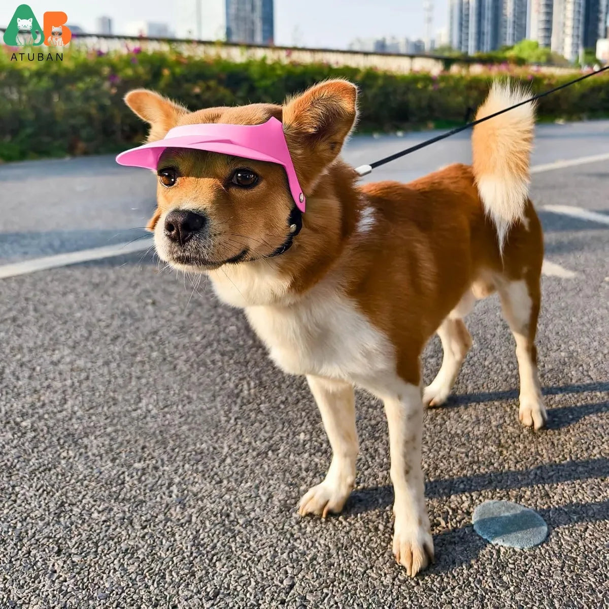 ATUBAN Adjustable Dog Sun Hat