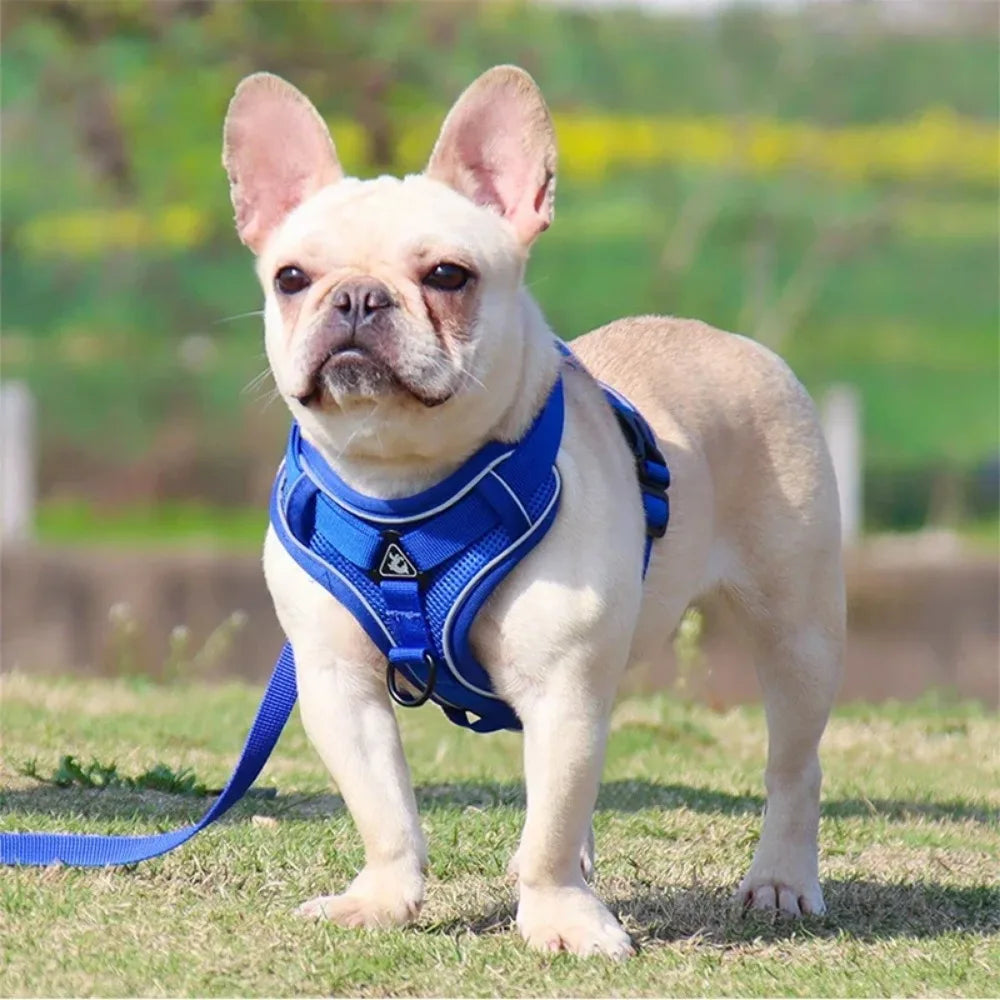 No-Pull Reflective Pet Harness Set