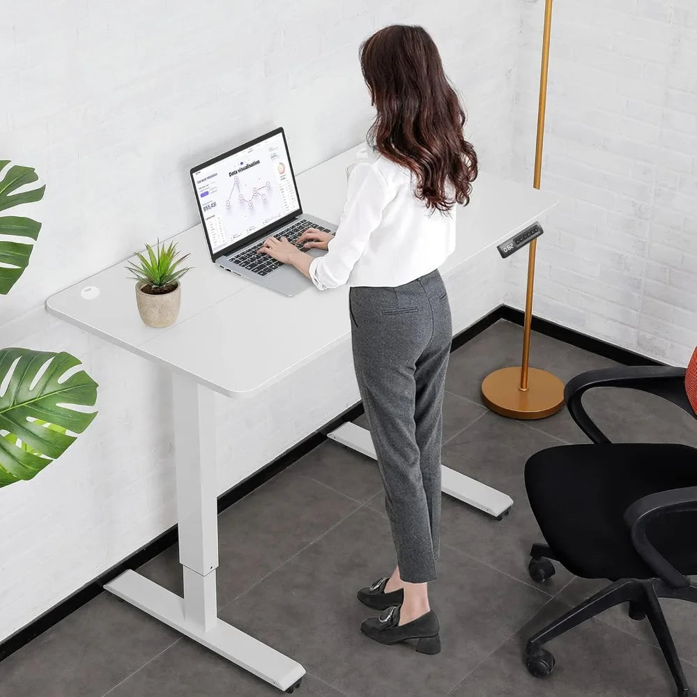 HUANZHUANG 48x24 Inch Electric Standing Desk