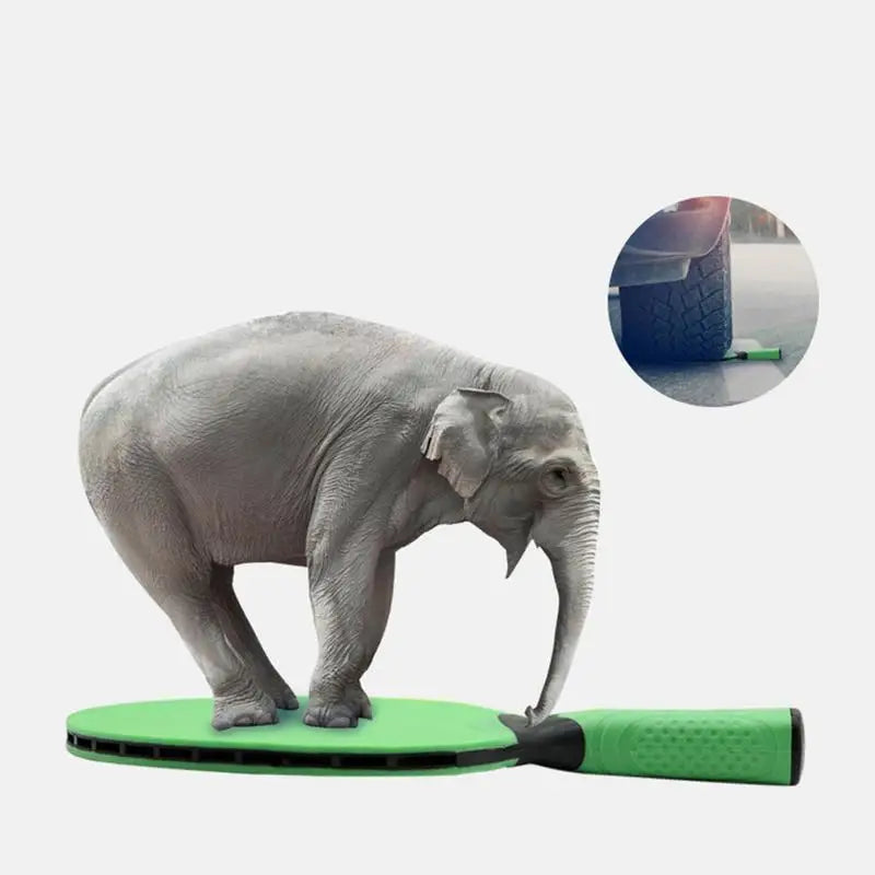 Professional Table Tennis Racket