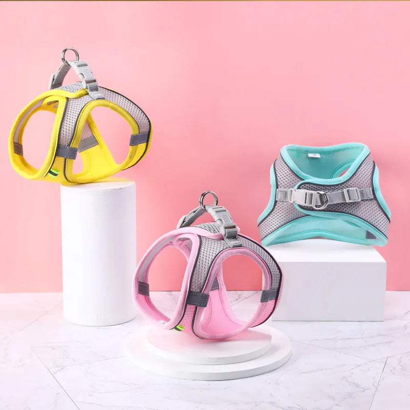 Noctilucent Pet Harness Leash Set