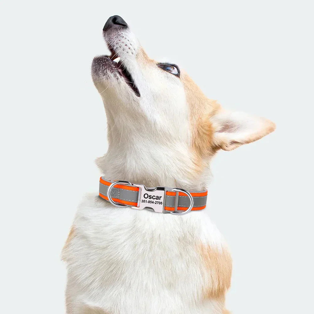 Reflective Personalized Nylon Dog Collar
