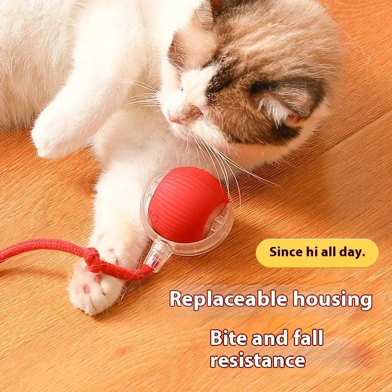 Smart Rolling Ball Cat Toy