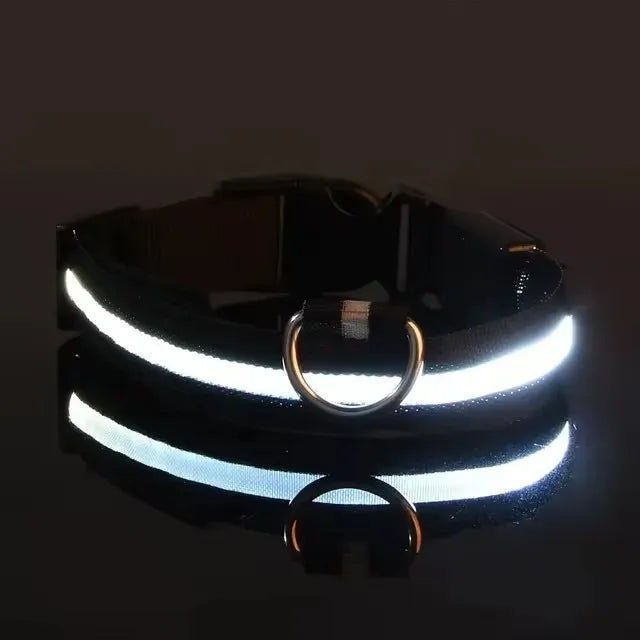 BOOTEELY LED Glow Dog Leash