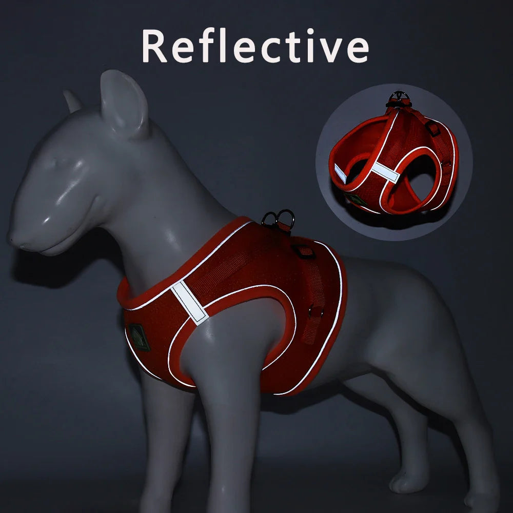 Breathable Summer Cat Harness Set